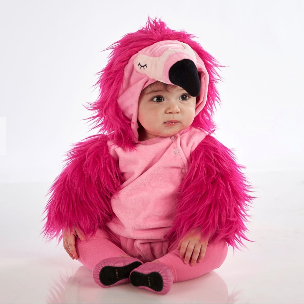 Pottery Barn Kids Pink Flamingo Costume